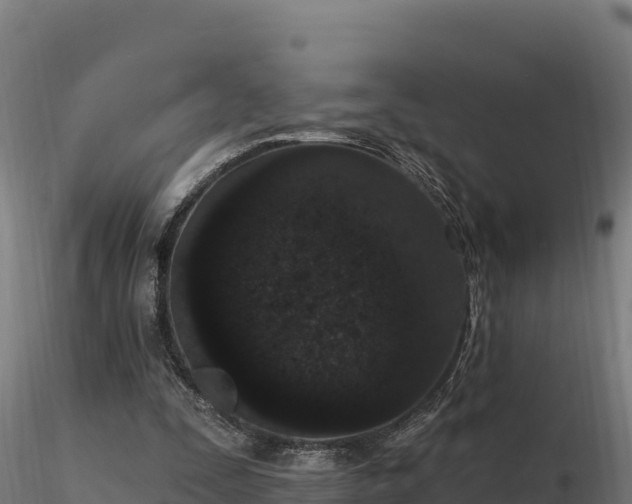 X0000116770295200912241209