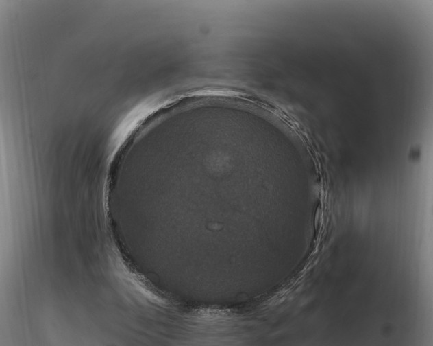 X0000116770296200912241209