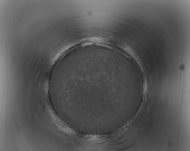 X0000116770297200912241209