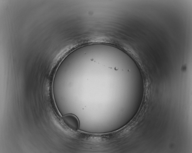 X0000116770298200912241209