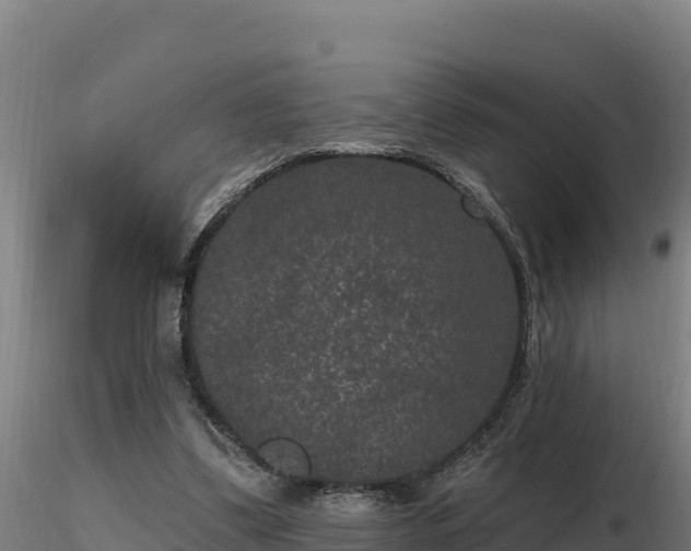 X0000116770299200912241209