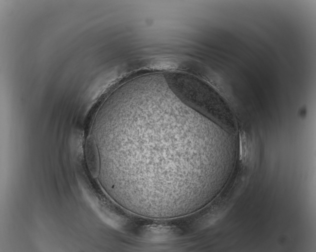 X0000116770300200912241209