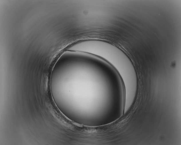 X0000116770301200912241209