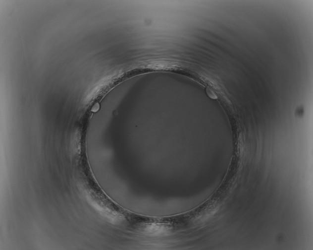 X0000116770303200912241209