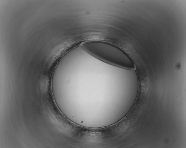 X0000116770304200912241209