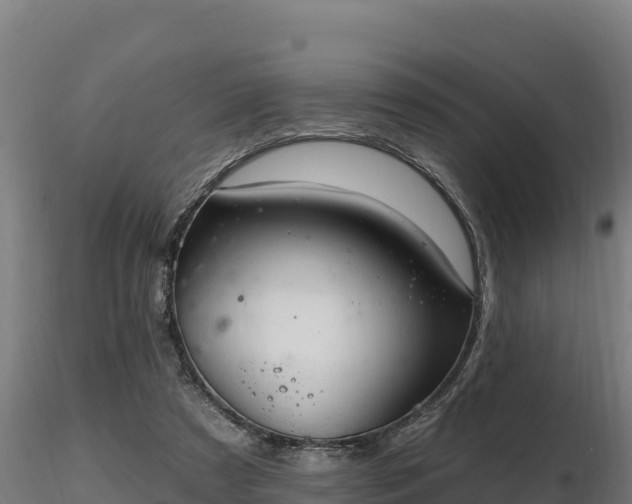X0000116770305200912241209