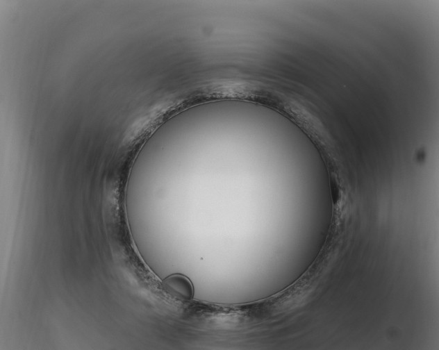 X0000116770306200912241209