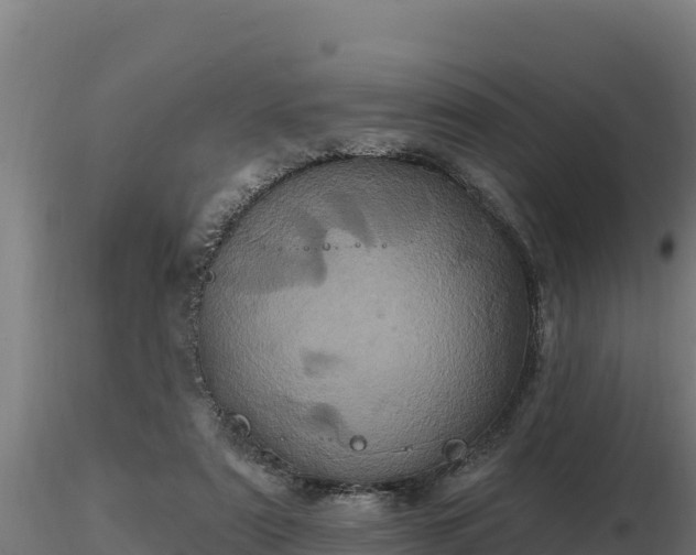 X0000116770307200912241209
