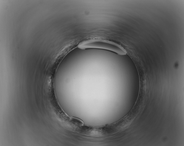 X0000116770308200912241209