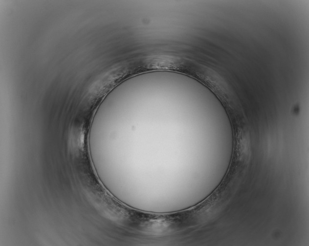 X0000116770310200912241209