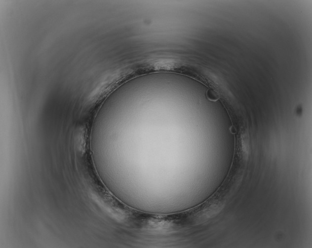 X0000116770311200912241209