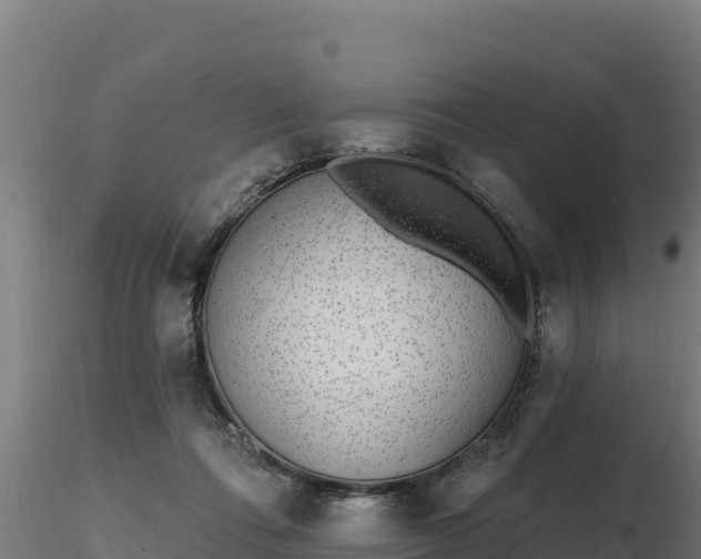 X0000116770312200912241209