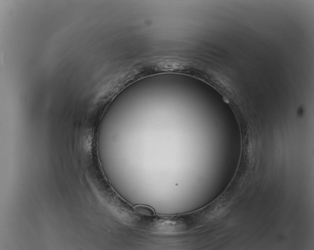 X0000116770315200912241209