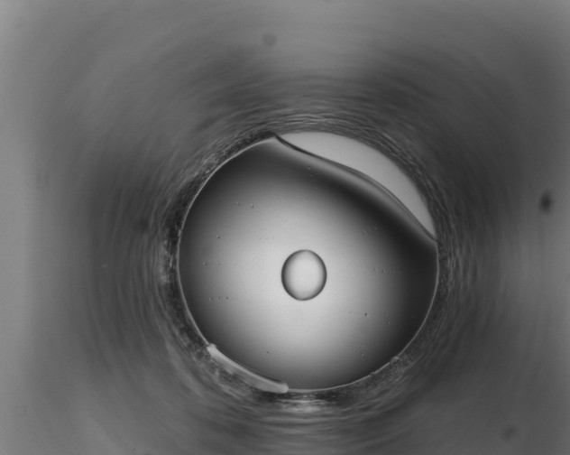 X0000116770316200912241209