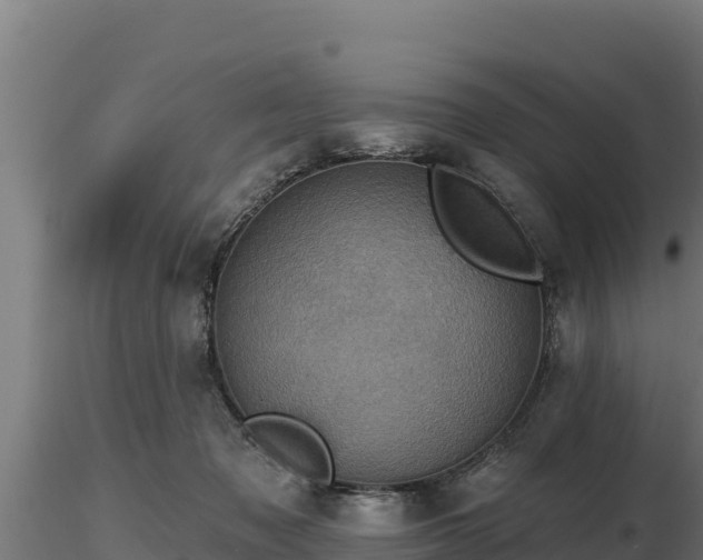 X0000116770317200912241209