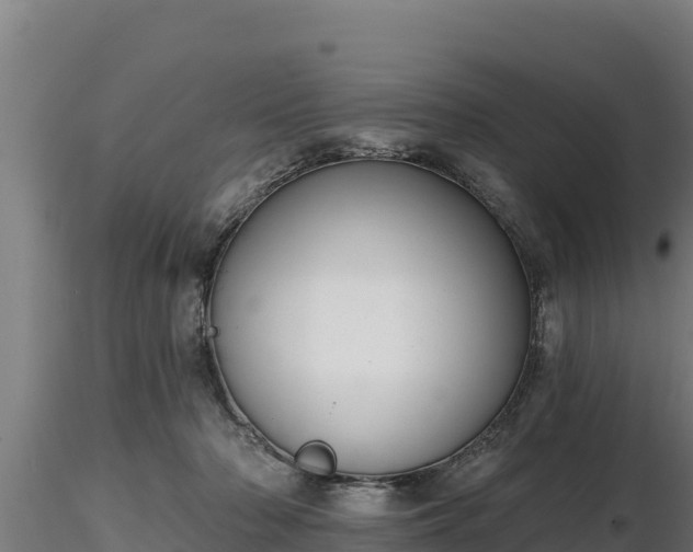 X0000116770318200912241209
