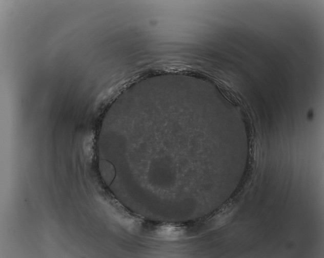 X0000116770319200912241209
