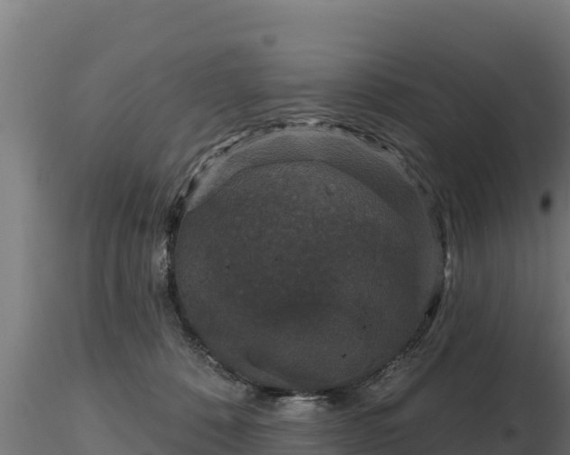 X0000116770320200912241209