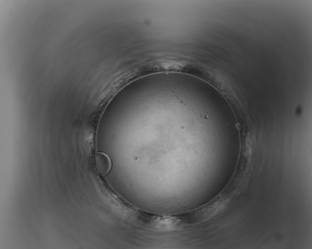 X0000116770321200912241209