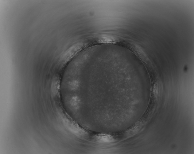 X0000116770322200912241209