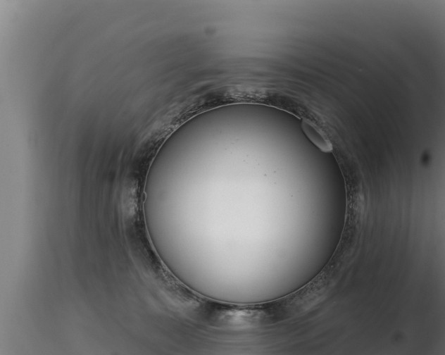 X0000116770323200912241209
