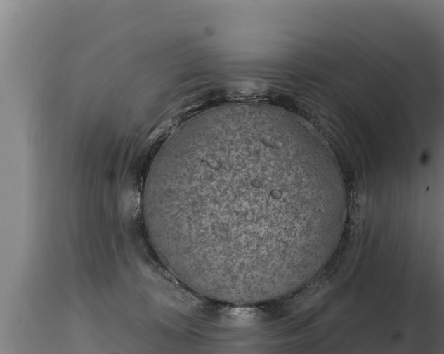 X0000116770324200912241209