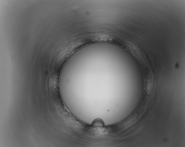 X0000116770326200912241209