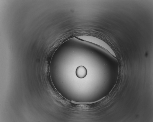 X0000116770328200912241209