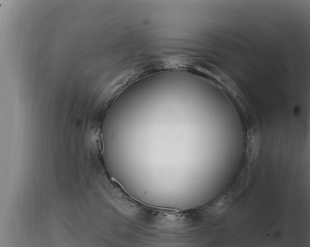 X0000116770329200912241209