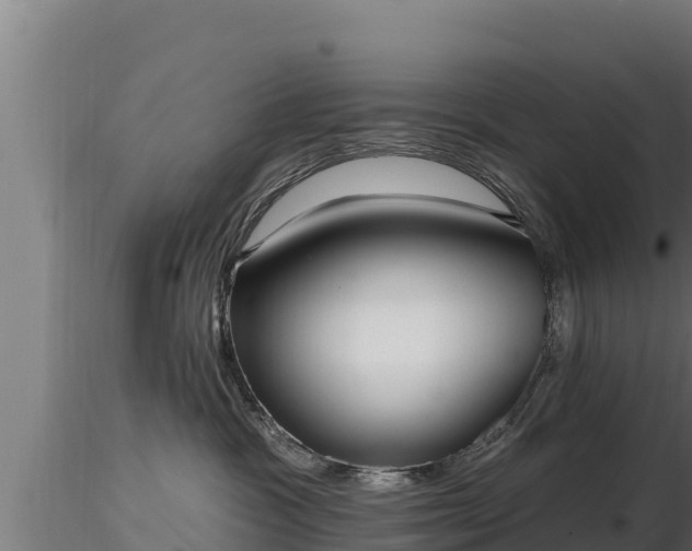 X0000116770333200912241208