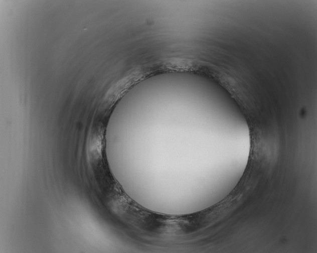 X0000116770334200912241208