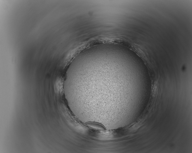 X0000116770335200912241208
