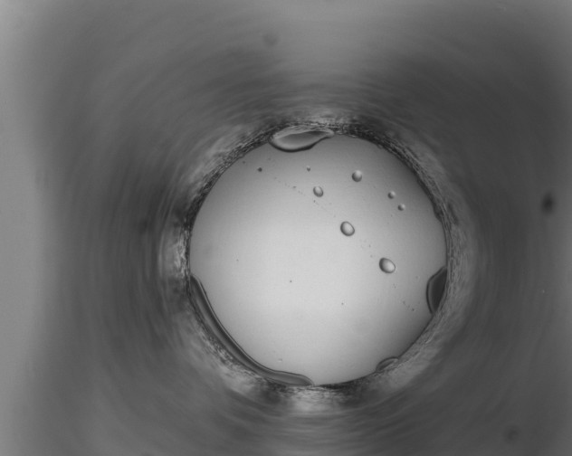 X0000116770336200912241208