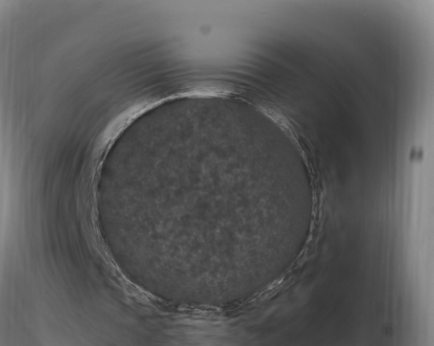 X0000116770337200912241208
