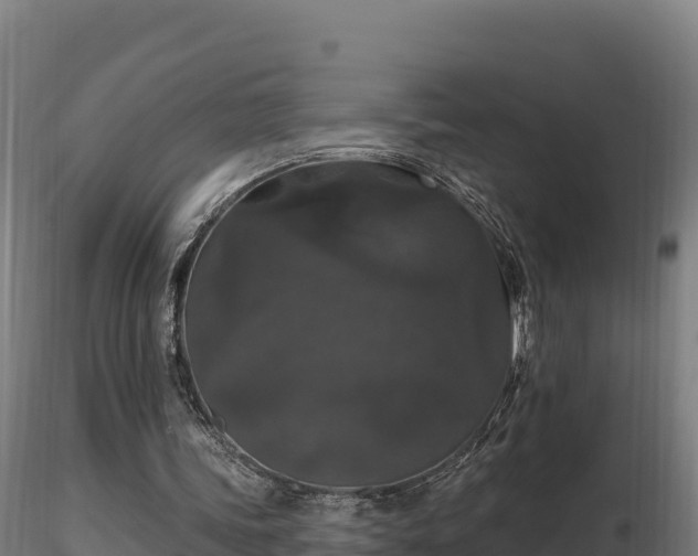 X0000116770339200912241208
