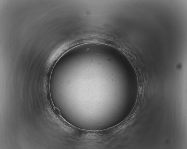 X0000116770341200912241208