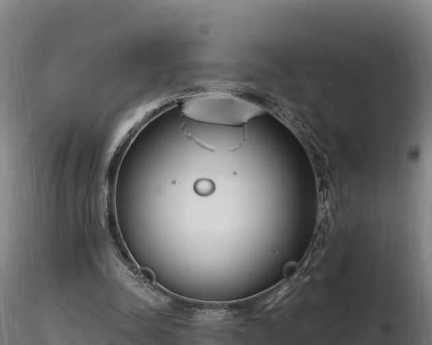X0000116770342200912241208