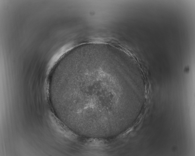 X0000116770343200912241208