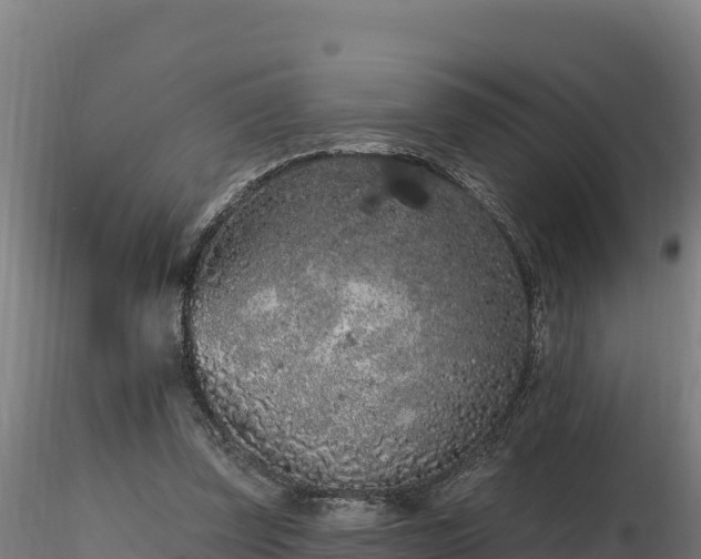 X0000116770347200912241208