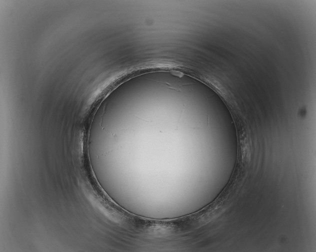 X0000116770350200912241208