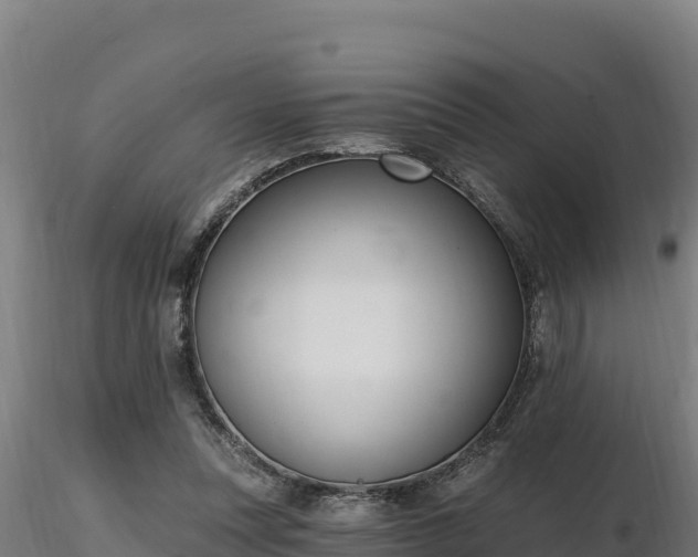 X0000116770351200912241208