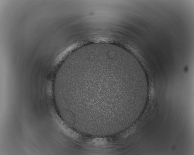 X0000116770353200912241208