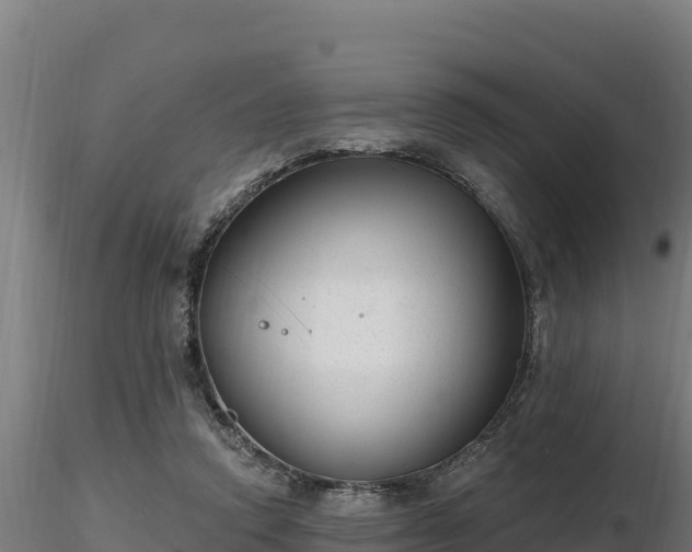 X0000116770354200912241208
