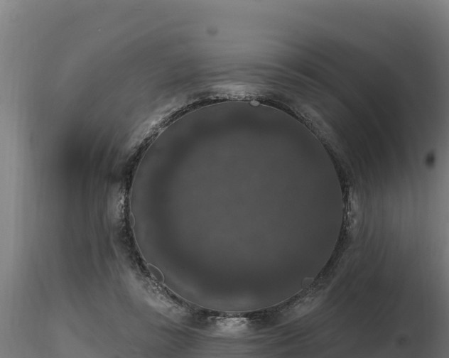 X0000116770355200912241208