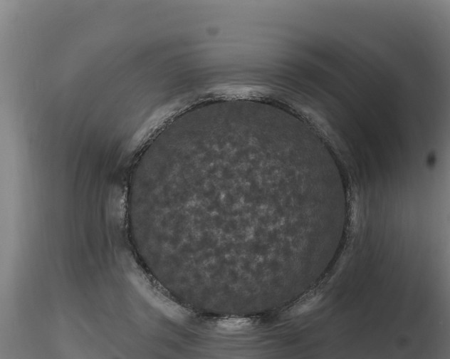 X0000116770357200912241208