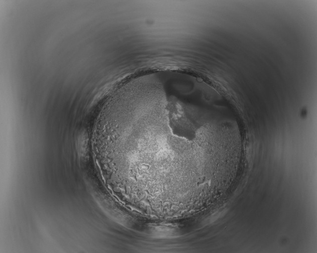 X0000116770359200912241208