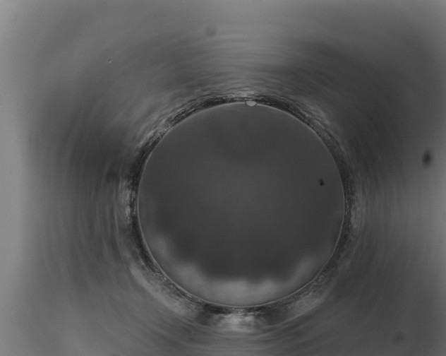 X0000116770366200912241208