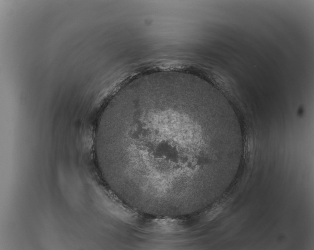 X0000116770367200912241208