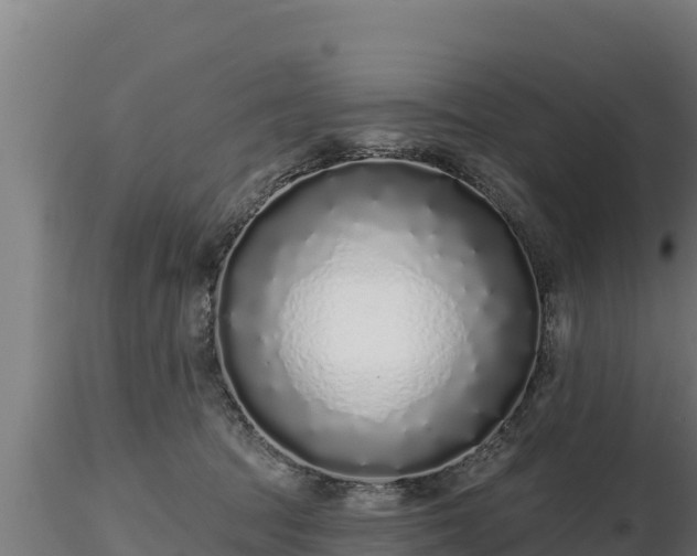 X0000116770369200912241208