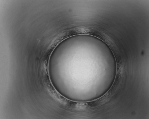 X0000116770373200912241208